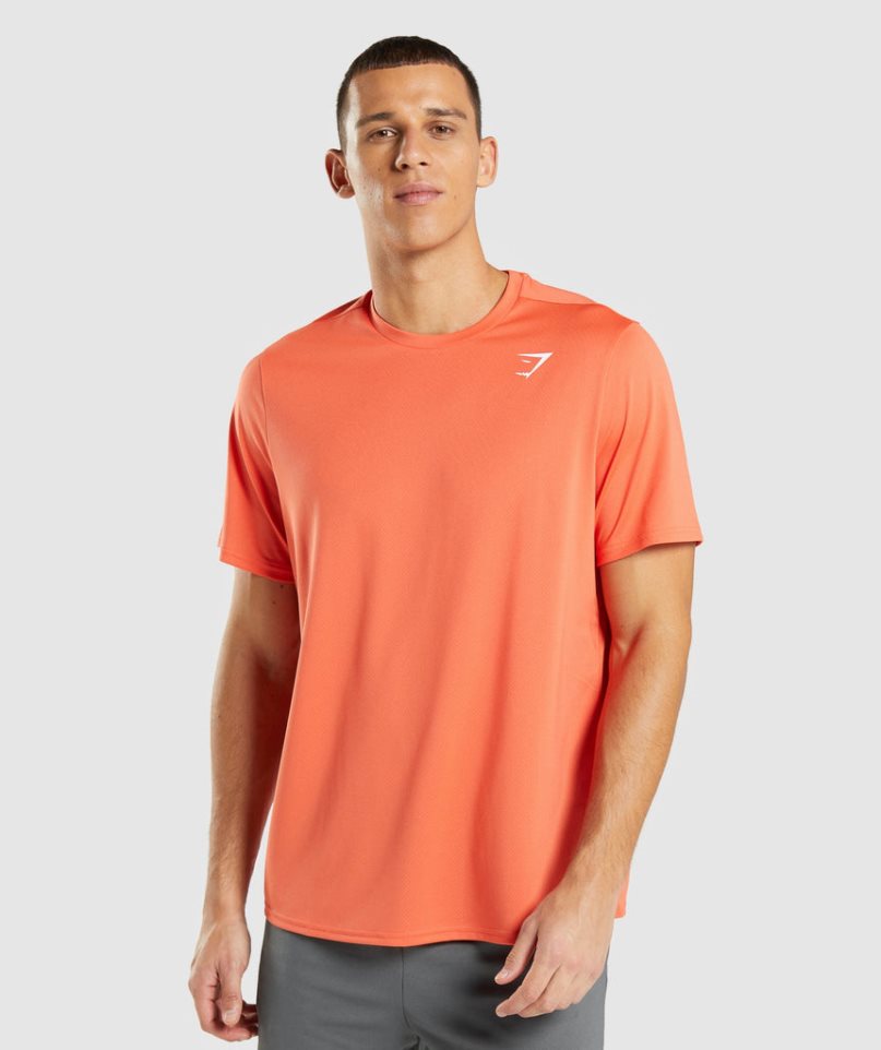 Men\'s Gymshark Arrival Regular Fit T-Shirts Orange | NZ 6TPOIR